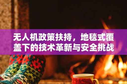 无人机政策扶持，地毯式覆盖下的技术革新与安全挑战