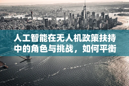 人工智能在无人机政策扶持中的角色与挑战，如何平衡创新与安全？