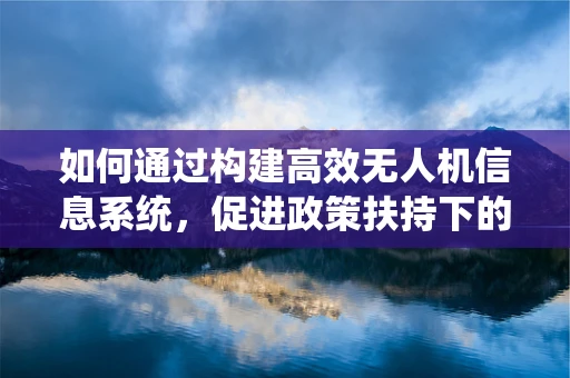 如何通过构建高效无人机信息系统，促进政策扶持下的行业健康发展？
