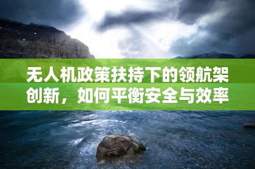无人机政策扶持下的领航架创新，如何平衡安全与效率？