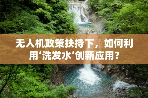 无人机政策扶持下，如何利用‘洗发水’创新应用？