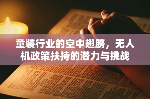 童装行业的空中翅膀，无人机政策扶持的潜力与挑战