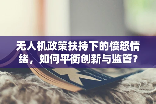 无人机政策扶持下的愤怒情绪，如何平衡创新与监管？