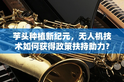 芋头种植新纪元，无人机技术如何获得政策扶持助力？