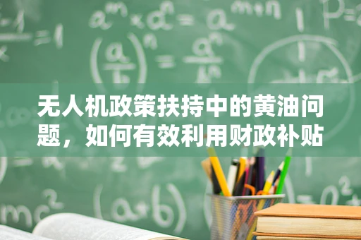 无人机政策扶持中的黄油问题，如何有效利用财政补贴提升行业创新力？