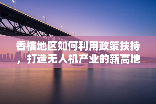 香槟地区如何利用政策扶持，打造无人机产业的新高地？