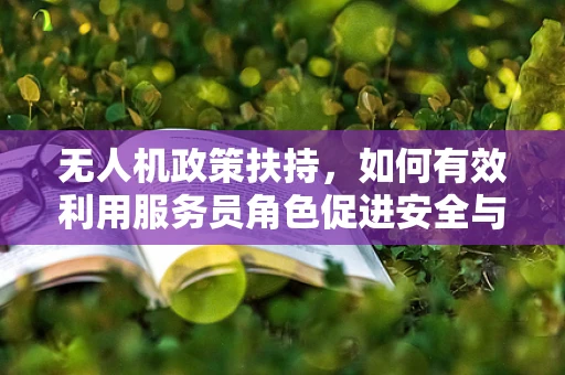 无人机政策扶持，如何有效利用服务员角色促进安全与合规？
