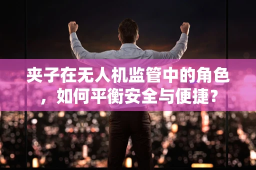 夹子在无人机监管中的角色，如何平衡安全与便捷？