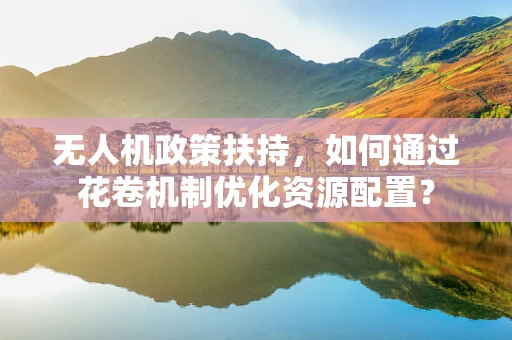 无人机政策扶持，如何通过花卷机制优化资源配置？