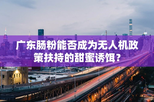 广东肠粉能否成为无人机政策扶持的甜蜜诱饵？