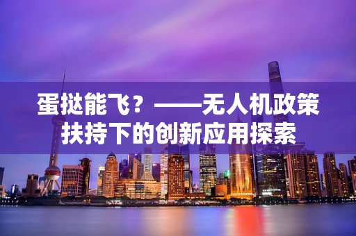 蛋挞能飞？——无人机政策扶持下的创新应用探索