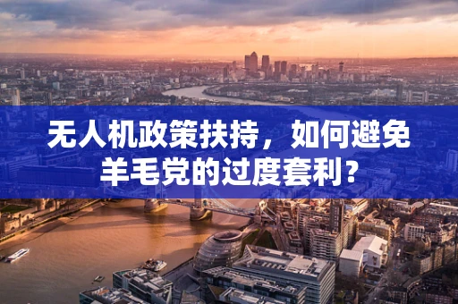 无人机政策扶持，如何避免羊毛党的过度套利？