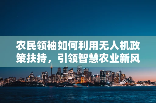 农民领袖如何利用无人机政策扶持，引领智慧农业新风尚？