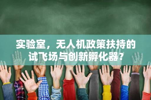 实验室，无人机政策扶持的试飞场与创新孵化器？