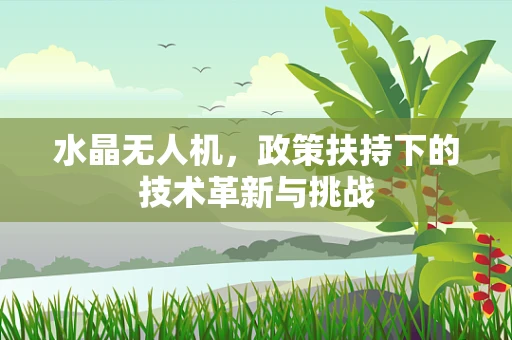 水晶无人机，政策扶持下的技术革新与挑战
