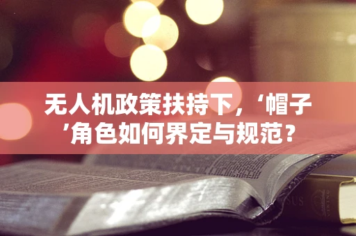无人机政策扶持下，‘帽子’角色如何界定与规范？