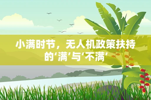小满时节，无人机政策扶持的‘满’与‘不满’