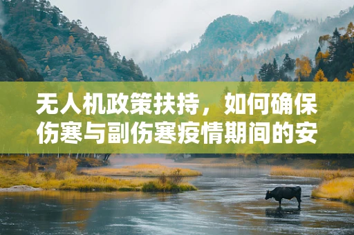 无人机政策扶持，如何确保伤寒与副伤寒疫情期间的安全飞行？