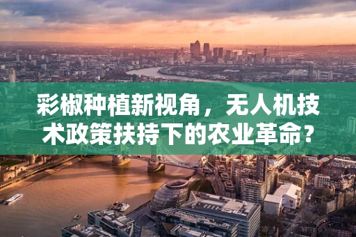 彩椒种植新视角，无人机技术政策扶持下的农业革命？