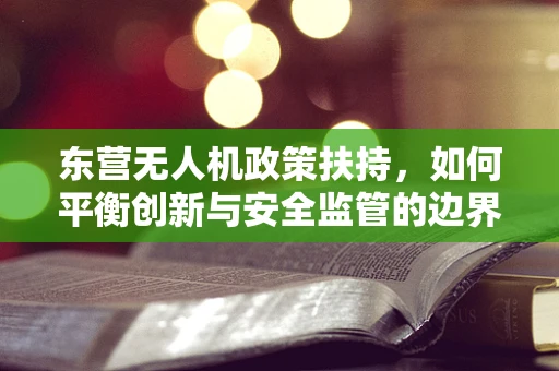 东营无人机政策扶持，如何平衡创新与安全监管的边界？