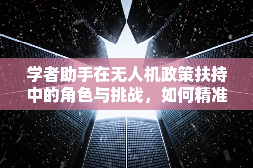学者助手在无人机政策扶持中的角色与挑战，如何精准引导创新与安全？