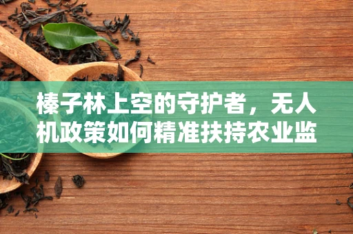 榛子林上空的守护者，无人机政策如何精准扶持农业监测？
