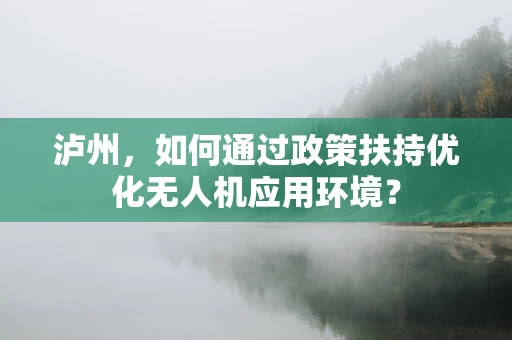 泸州，如何通过政策扶持优化无人机应用环境？