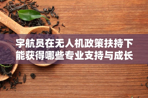 宇航员在无人机政策扶持下能获得哪些专业支持与成长？
