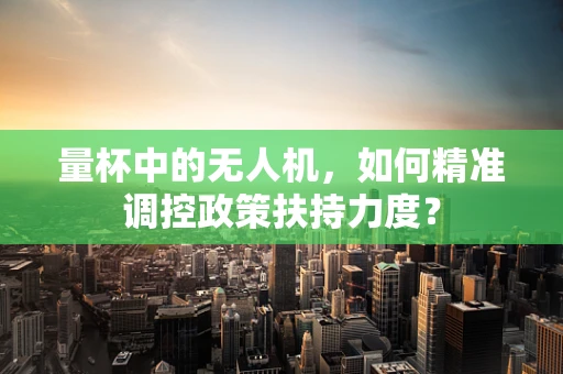 量杯中的无人机，如何精准调控政策扶持力度？
