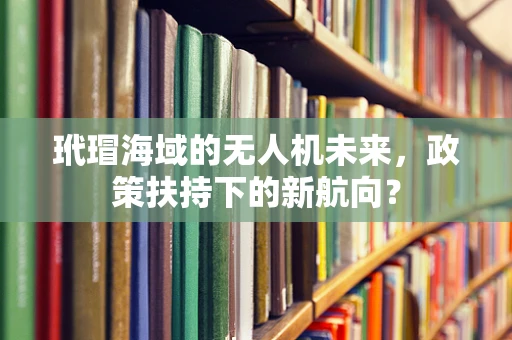 玳瑁海域的无人机未来，政策扶持下的新航向？