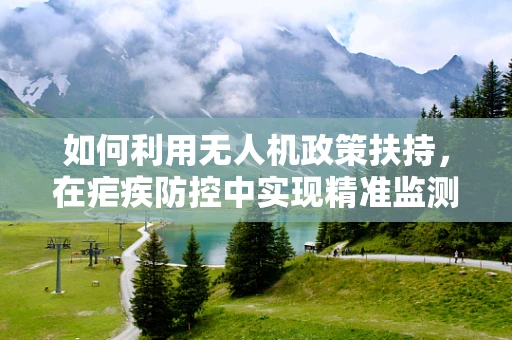 如何利用无人机政策扶持，在疟疾防控中实现精准监测与治疗？