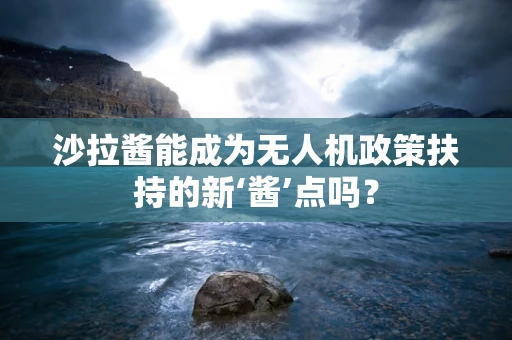 沙拉酱能成为无人机政策扶持的新‘酱’点吗？