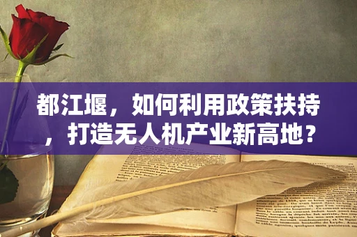 都江堰，如何利用政策扶持，打造无人机产业新高地？