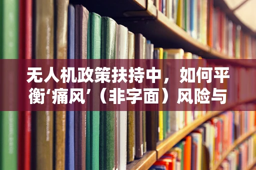 无人机政策扶持中，如何平衡‘痛风’（非字面）风险与技术创新？