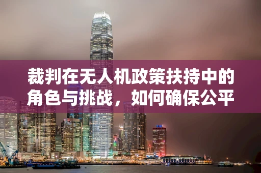 裁判在无人机政策扶持中的角色与挑战，如何确保公平与安全？