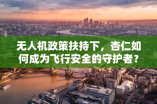 无人机政策扶持下，杏仁如何成为飞行安全的守护者？