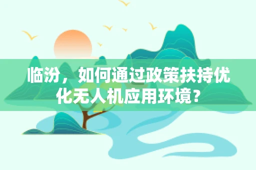 临汾，如何通过政策扶持优化无人机应用环境？