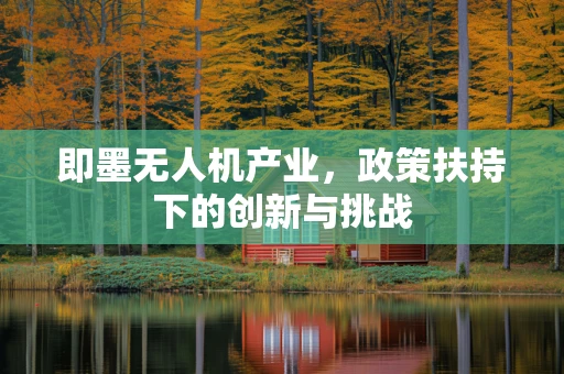 即墨无人机产业，政策扶持下的创新与挑战