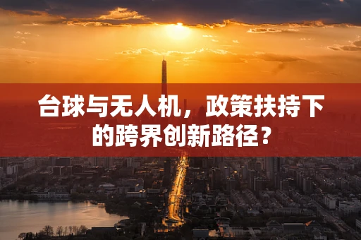 台球与无人机，政策扶持下的跨界创新路径？