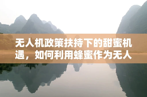 无人机政策扶持下的甜蜜机遇，如何利用蜂蜜作为无人机应用的创新点？