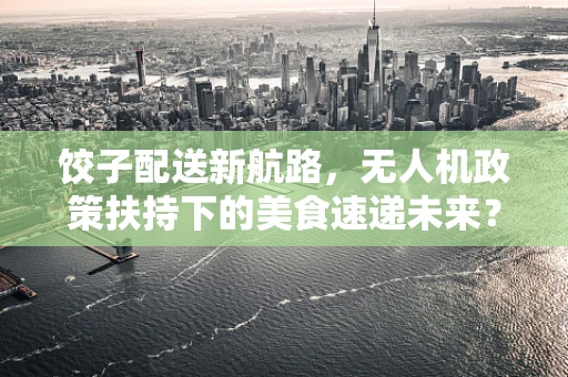 饺子配送新航路，无人机政策扶持下的美食速递未来？