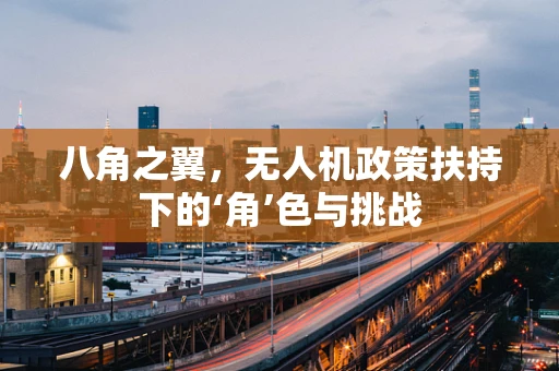 八角之翼，无人机政策扶持下的‘角’色与挑战