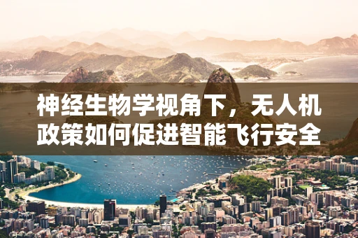 神经生物学视角下，无人机政策如何促进智能飞行安全？