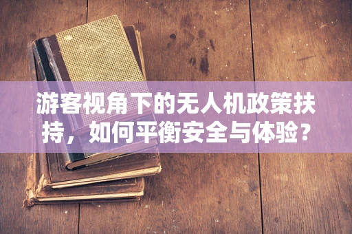 游客视角下的无人机政策扶持，如何平衡安全与体验？
