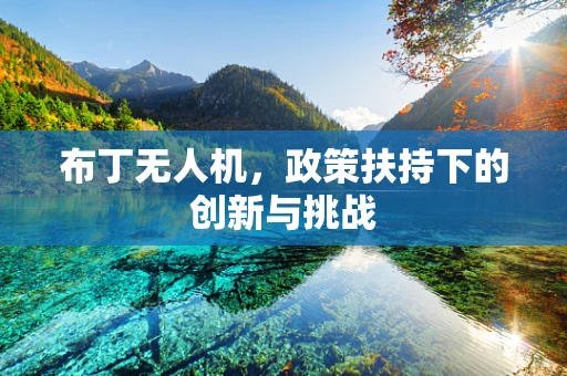 布丁无人机，政策扶持下的创新与挑战