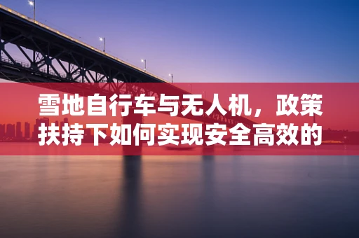 雪地自行车与无人机，政策扶持下如何实现安全高效的空中娱乐新体验？