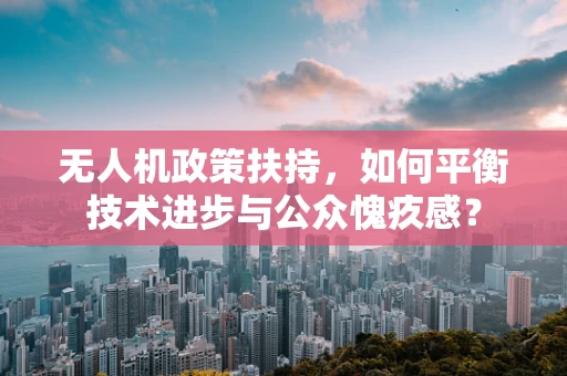无人机政策扶持，如何平衡技术进步与公众愧疚感？
