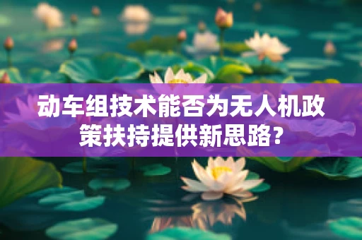 动车组技术能否为无人机政策扶持提供新思路？