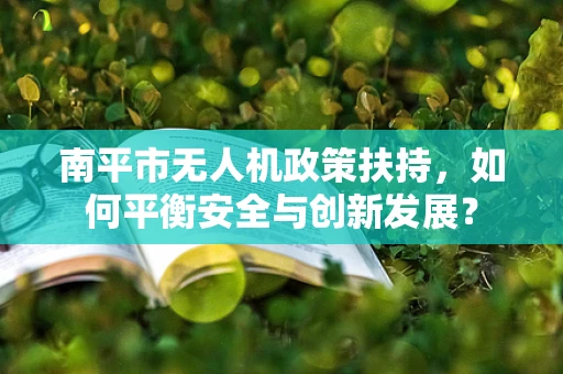 南平市无人机政策扶持，如何平衡安全与创新发展？
