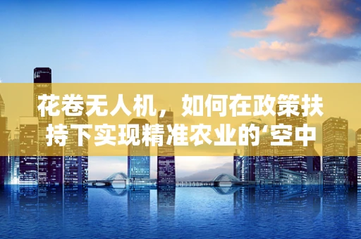 花卷无人机，如何在政策扶持下实现精准农业的‘空中革命’？